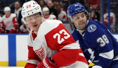Apr 11, 2025; Tampa, Florida, USA; Detroit Red Wings left wing Lucas Raymond (23) and Tampa Bay Lightning left wing Brandon Hagel (38) looks back during the second period at Amalie Arena. Mandatory Credit: Kim Klement Neitzel-Imagn Images