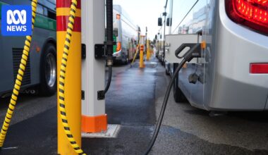 EV buses join Perth's wider suburban network, 'milestone' for diesel phase-out