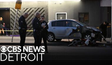 Vehicle crashes into Los Angeles crowd; at least 30 injured