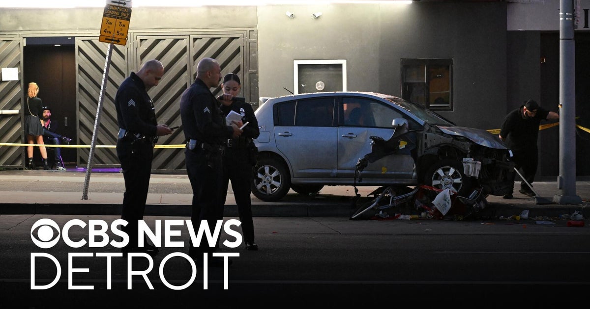 Vehicle crashes into Los Angeles crowd; at least 30 injured
