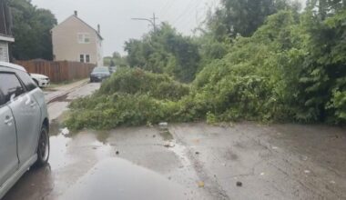 Severe storms in Chicago leave downed trees, power outages, airport ground stops in their wake