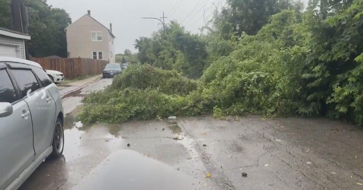 Severe storms in Chicago leave downed trees, power outages, airport ground stops in their wake