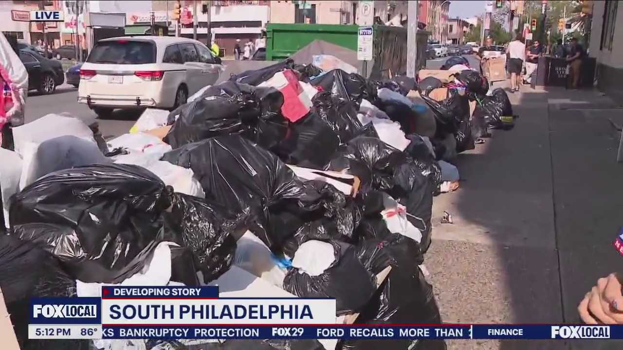 Private contractors offer trash removal amid DC 33 strike