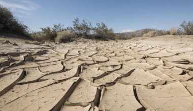 Climate change pushes Arizona into ‘uncharted territory’ with deadly heat