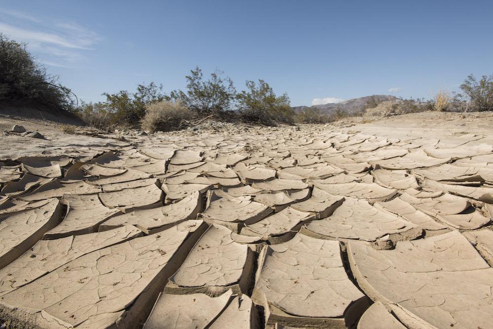 Climate change pushes Arizona into ‘uncharted territory’ with deadly heat