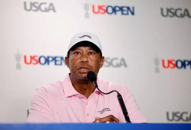 Greg Norman failed to persuade Woods to sign up to LIV Golf