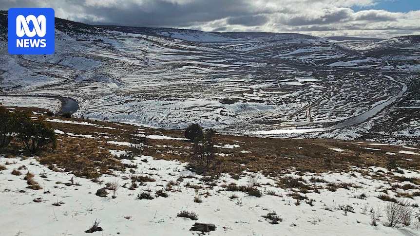 Search for missing plane underway in NSW Snowy Mountains