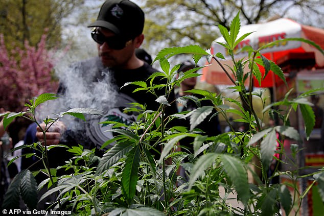 'The streets in the city where I have lived for 18 years now reek of illicit cannabis,'  writes Leonard