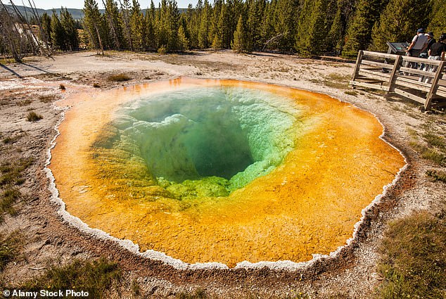 Morning Glory Pool in Yellowstone National Park. It is a hot spring as a result of the volcanic activity of the Yellowstone Caldera supervolcano