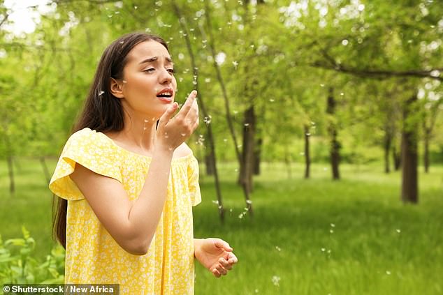 Doctors raised the alarm over anti-allergy medication Benadryl and a potential link to dementia (stock photo)