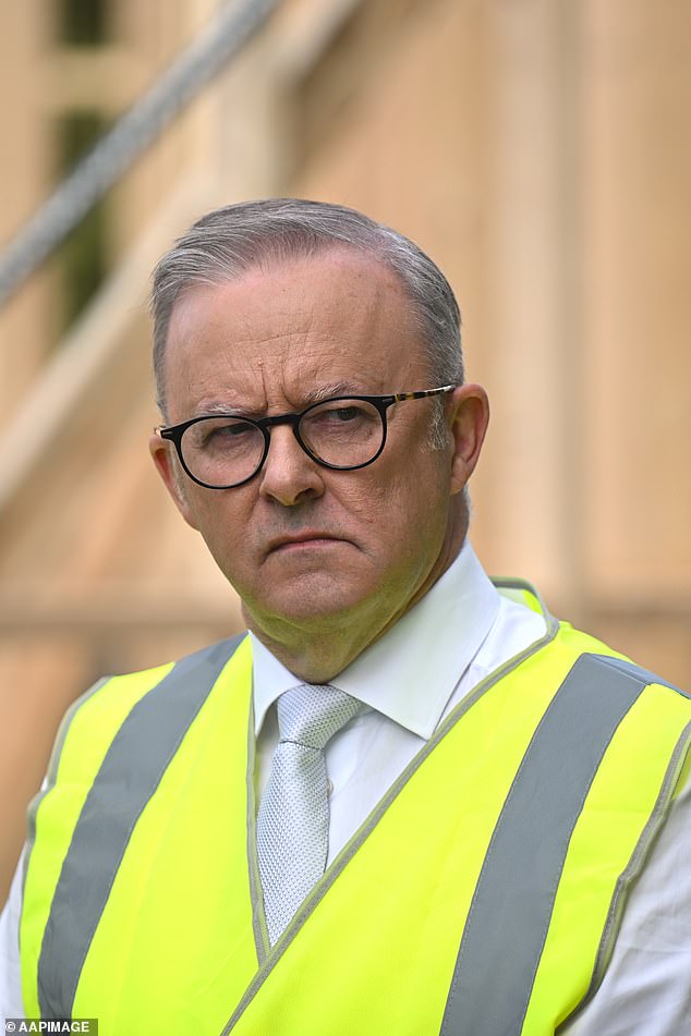 Prime Minister Anthony Albanese (pictured) told federal parliament the Labor Party had inherited a decade of neglect by the Liberal Party