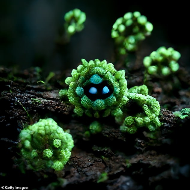 Researchers only tested herpes simplex virus-1, or the virus that causes oral herpes. This differs from the one that causes genital herpes