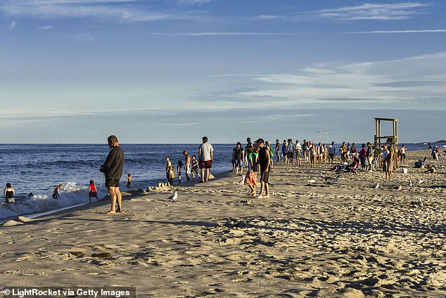 The 14-foot, 1,653-pound apex predator nicknamed 'Contender' was only recently detected off the coast of Nantucket, Massachusetts