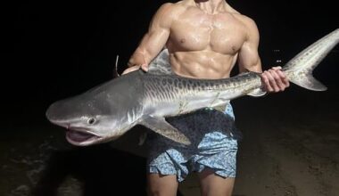 Hans Brings a juvenile tiger shark off Mashpee, Massachusetts on Cape Cod