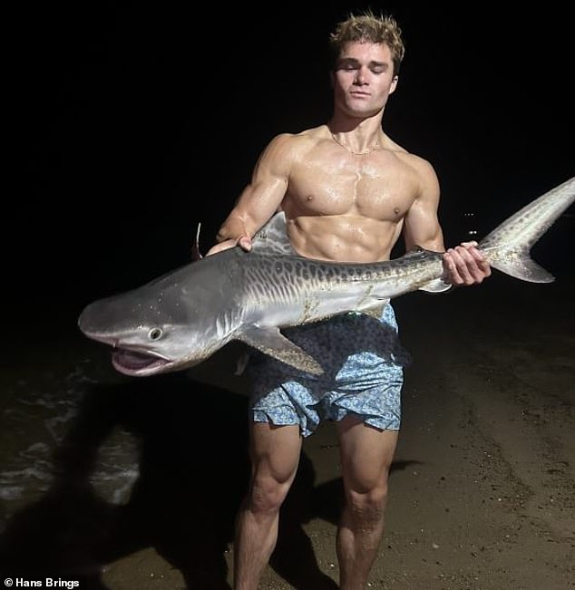 Hans Brings a juvenile tiger shark off Mashpee, Massachusetts on Cape Cod