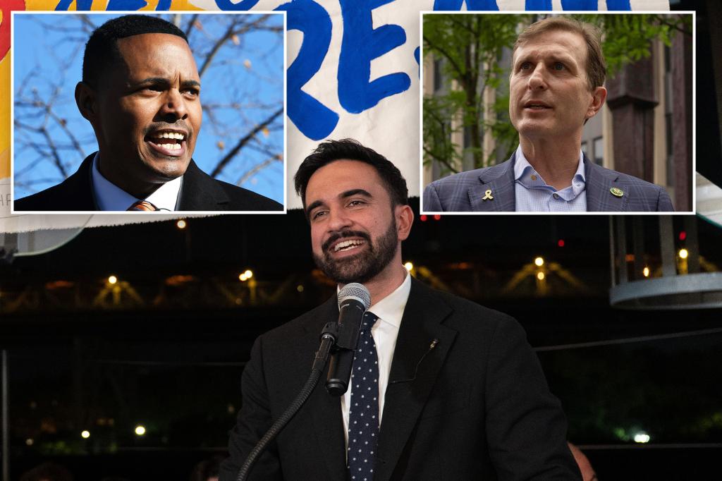 Zohran Mamdani has Dems in 'absolute panic' over how to handle NYC mayoral bid