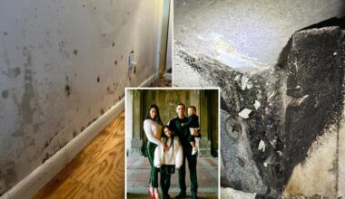 Family poisoned by swanky NYC's apartment's hidden mold, with child covered in painful pus-filled blotches: lawsuit