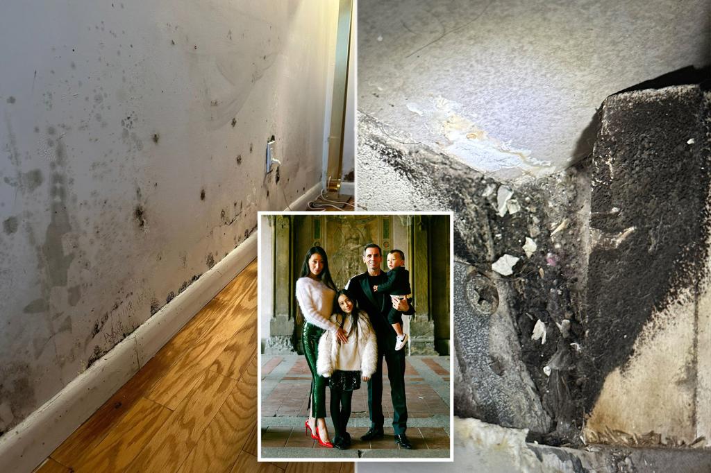 Family poisoned by swanky NYC's apartment's hidden mold, with child covered in painful pus-filled blotches: lawsuit