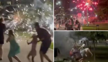Illegal July Fourth firework display shoots into crowd at bustling NYC park, injuring several — who say cops didn't protect them