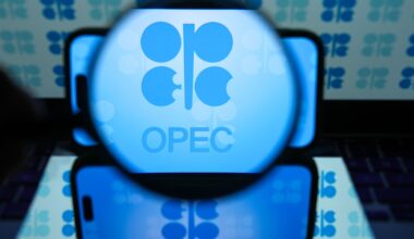 OPEC+ members agree to larger-than-expected oil production hike in August