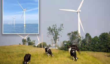 New York halts offshore wind power lines, citing Trump opposition