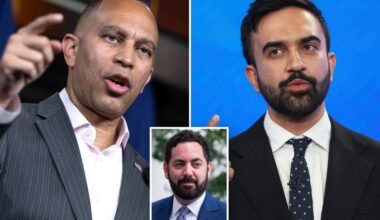 Jeffries 'freaking out' over 'absolute insanity' of Zohran Mamdani taking over NYC: Mike Lawler