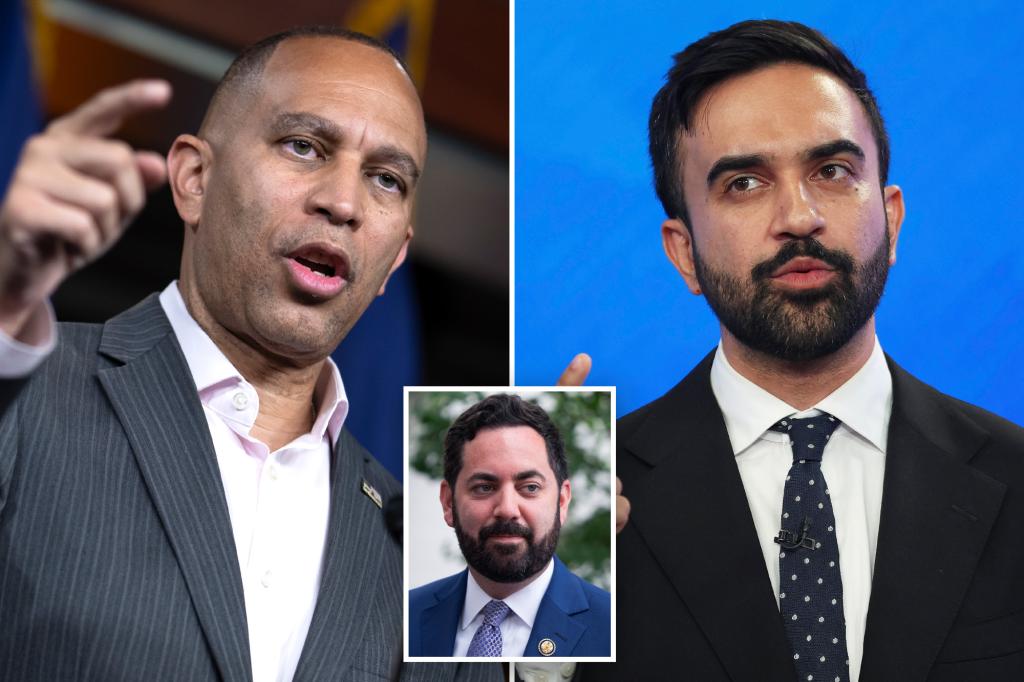 Jeffries 'freaking out' over 'absolute insanity' of Zohran Mamdani taking over NYC: Mike Lawler