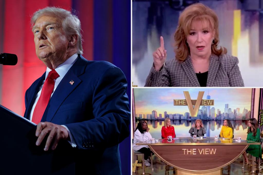 White House says ‘The View’ could be cancelled next following Joy Behar's anti-Trump tirade