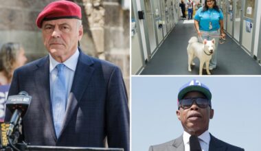 Trouble-packed NYC animal shelters land another $1M in taxpayer funds