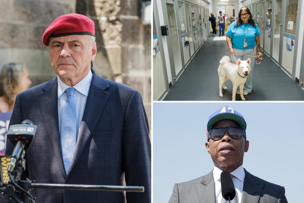 Trouble-packed NYC animal shelters land another $1M in taxpayer funds