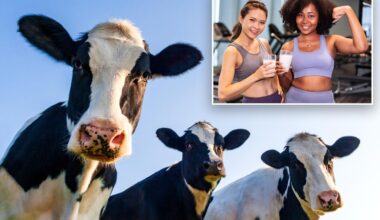Mooove over, cow’s milk — there’s a better dairy product for stronger muscles