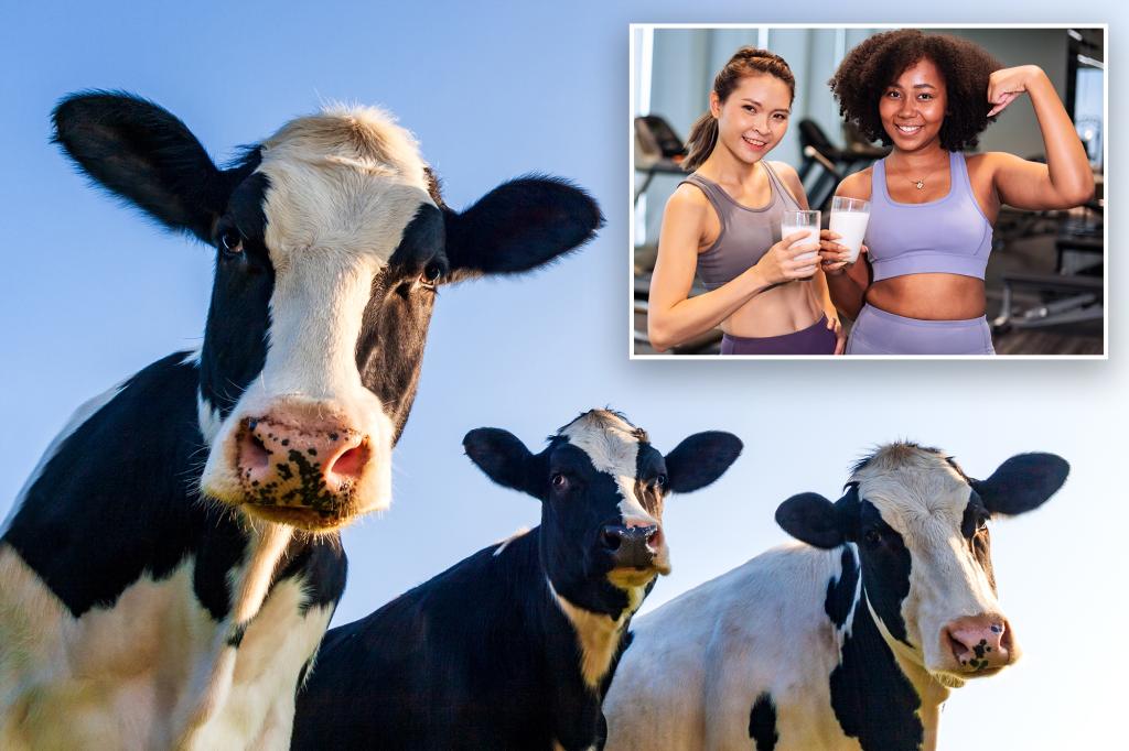 Mooove over, cow’s milk — there’s a better dairy product for stronger muscles