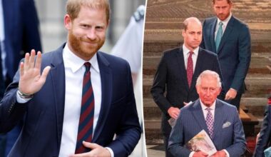 Prince Harry's latest peace offering to King Charles and Prince William revealed 