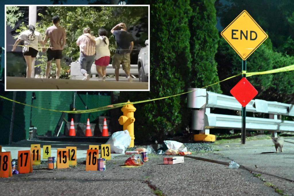 Estranged husband fatally guns down wife's new beau in NYC burst of violence: cops