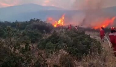 Albania and Bulgaria ask EU for help to deal with raging wildfires