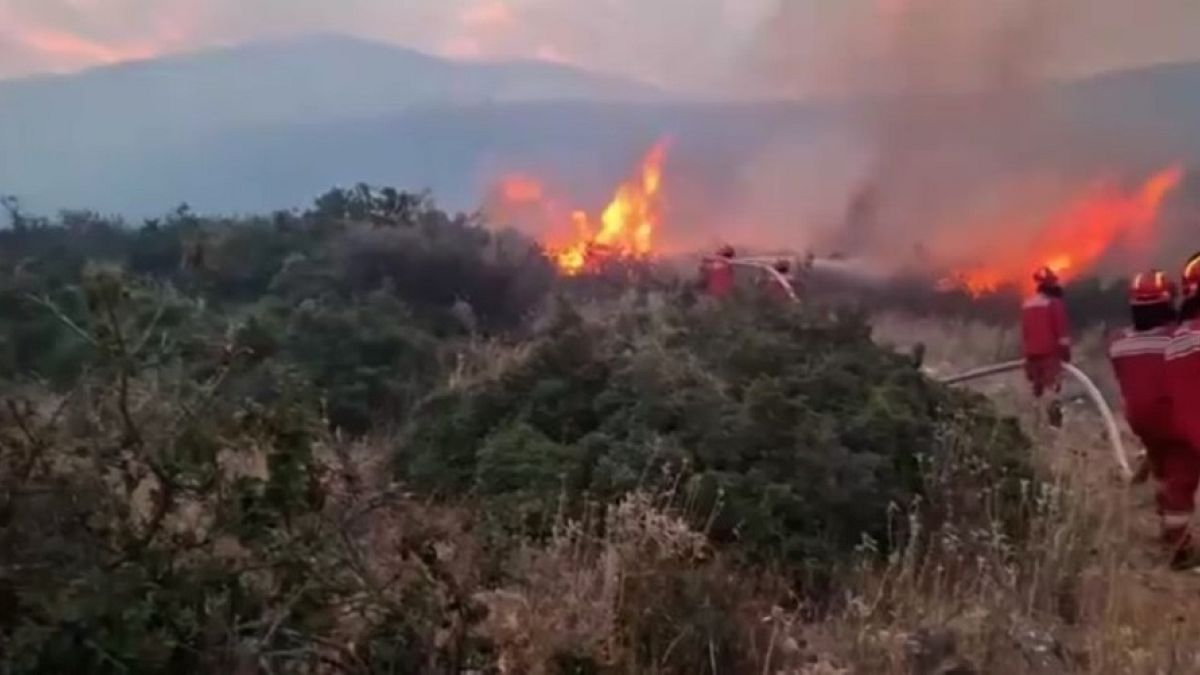 Albania and Bulgaria ask EU for help to deal with raging wildfires
