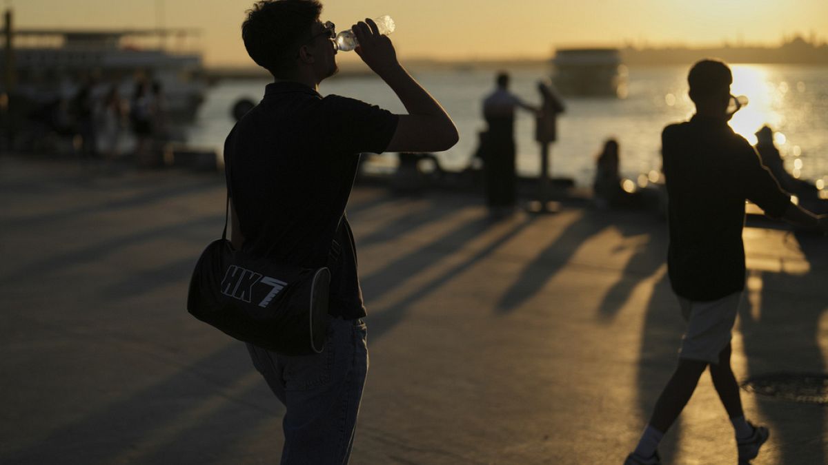 Deadly heatwave across Europe sparks wildfires and shuts nuclear plant