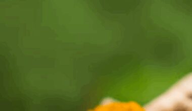 ​9 Ayurvedic food pairings that boost digestion and balance​