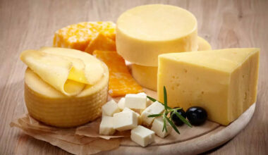 10 high protein cheese to add to your diet