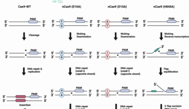 Emerging trends in prime editing for precision genome editing
