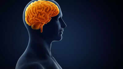 World Brain Day 2025: Harvard says these 12 habits can keep your brain young and sharp