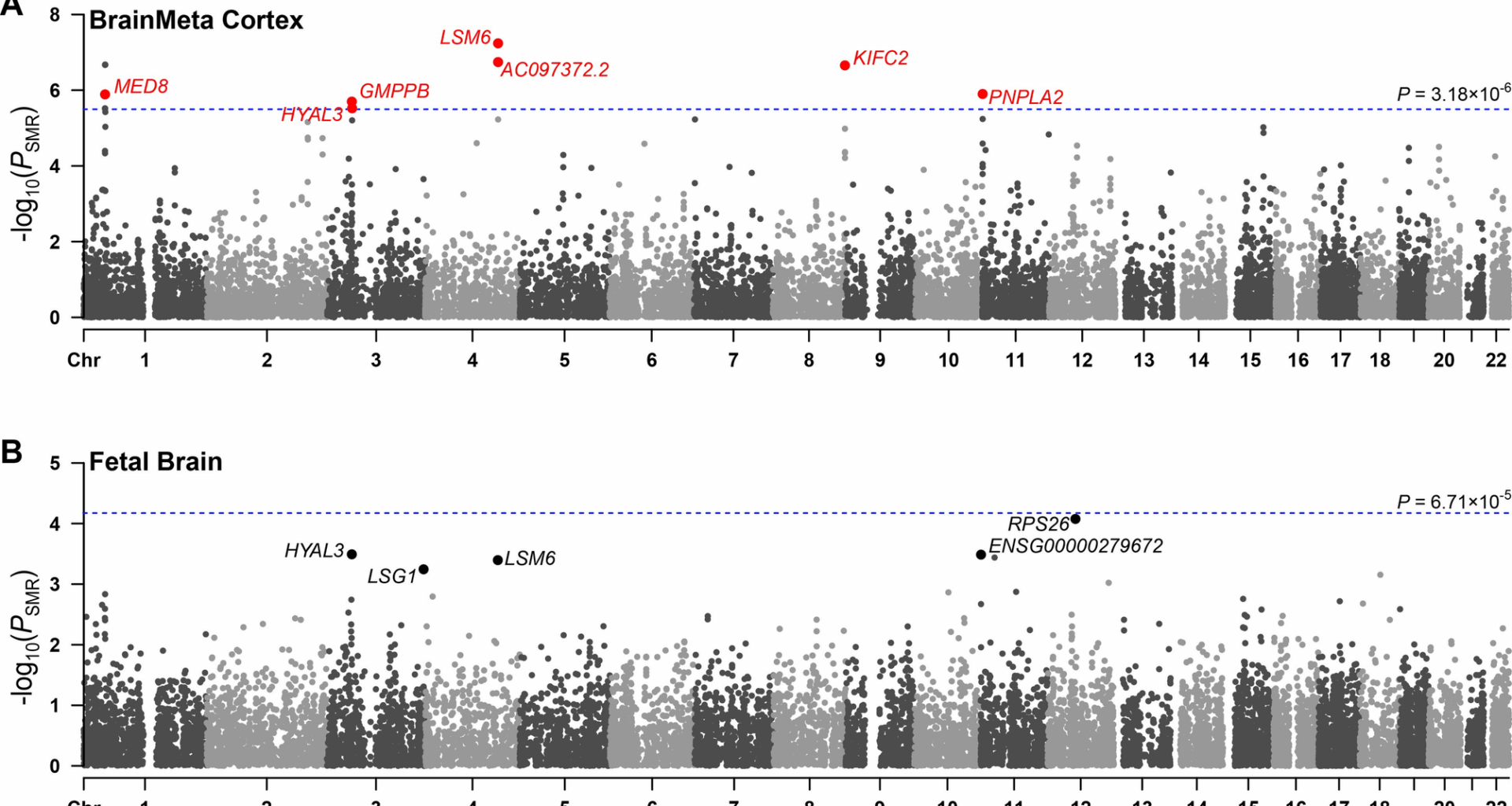 Integrative multi-omics data from early development to identify the genes and cell types underlying attention-deficit/hyperactivity disorder | BMC Psychiatry