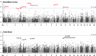 Integrative multi-omics data from early development to identify the genes and cell types underlying attention-deficit/hyperactivity disorder | BMC Psychiatry