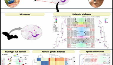A comprehensive genetic and phylogenetic study of Trypanosoma spp. in bats and sand flies from shared habitats in Thailand | Parasites & Vectors
