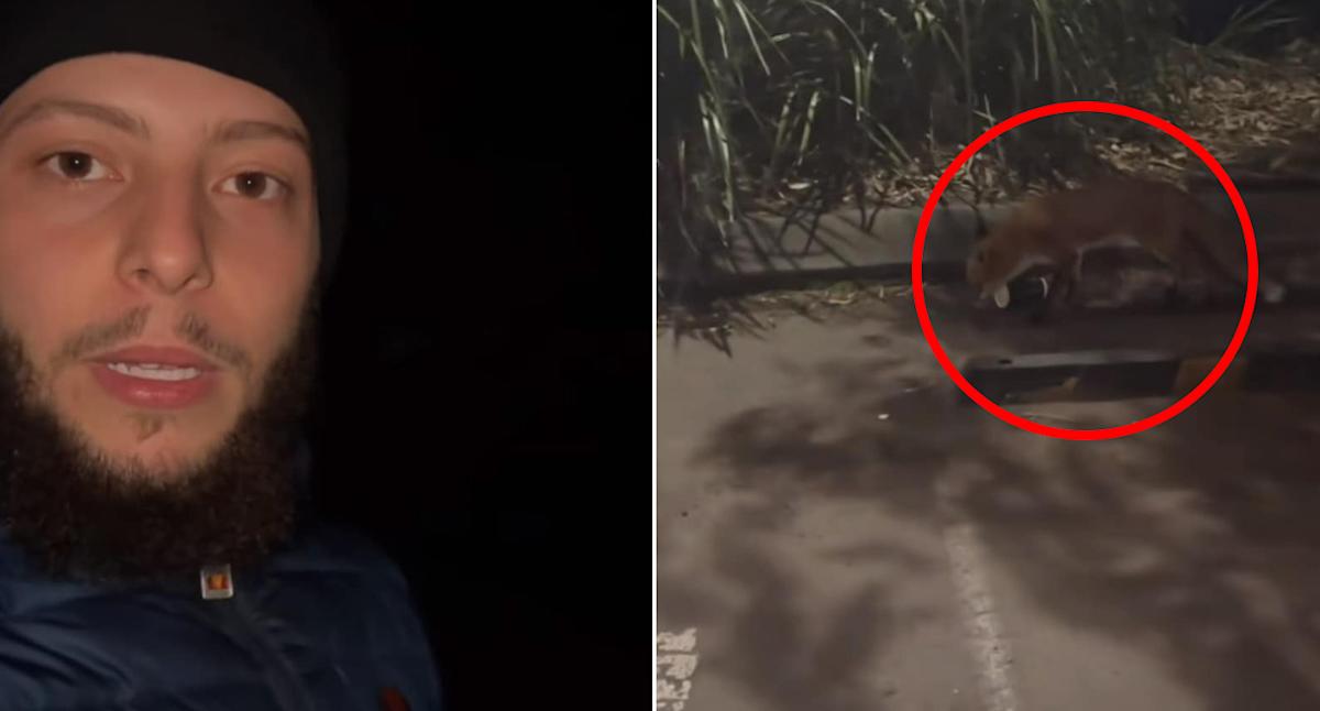 Late night encounter in suburban car park highlights issue that 'should concern everyone'
