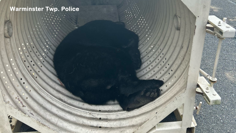Warminster Twp. police shared this photo of a bear that was caught on Saturday, July 5.