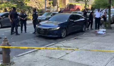 NYC Crime: Man shot in the neck near pool entrance in Crotona Park