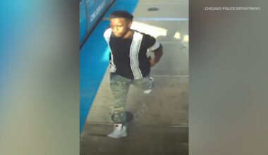 Brighton Park, Chicago crime: Police department looking for suspect in robbery on CTA bus near 38th and Archer