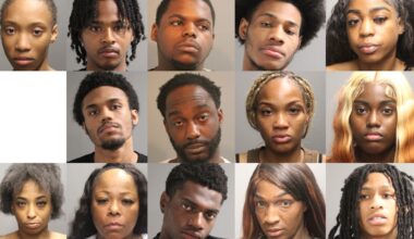 39 arrested at Chicago Pride Parade, including 16 on felony charges