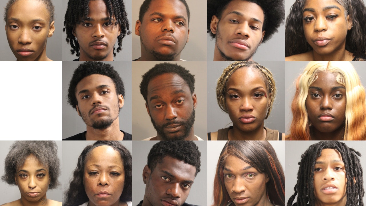 39 arrested at Chicago Pride Parade, including 16 on felony charges
